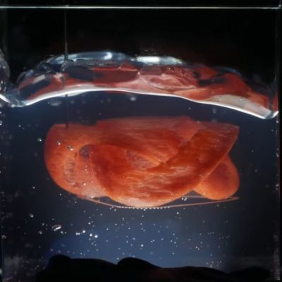 Silicone structure formed inside support liquid