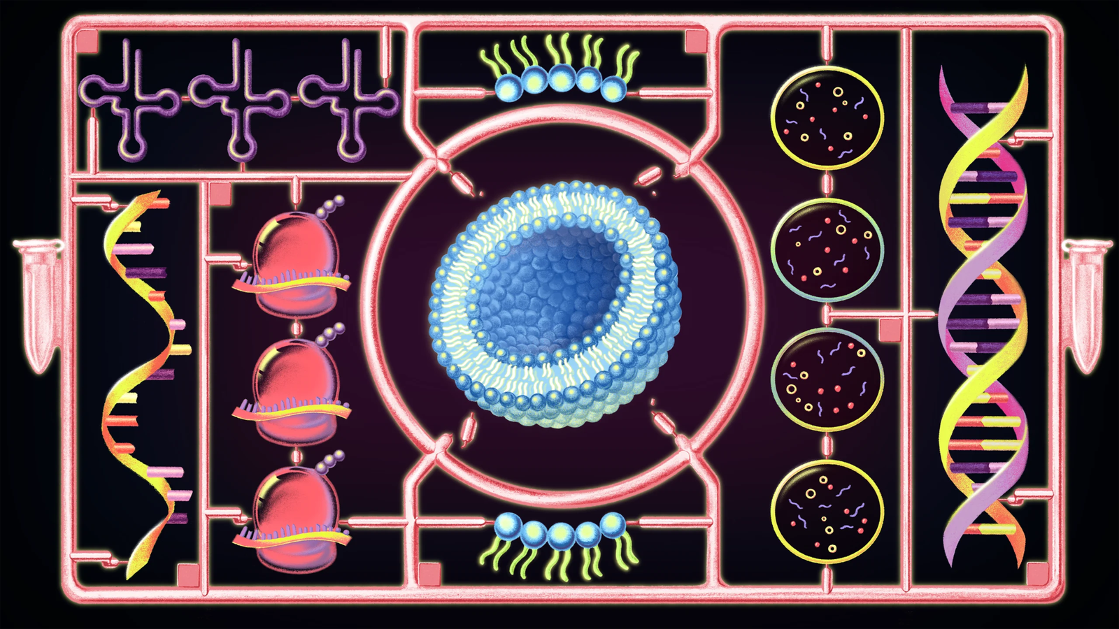 Artistic rendering of SpudCell synthetic cell. Credit: Ada Zejun Shen / Quanta Magazine