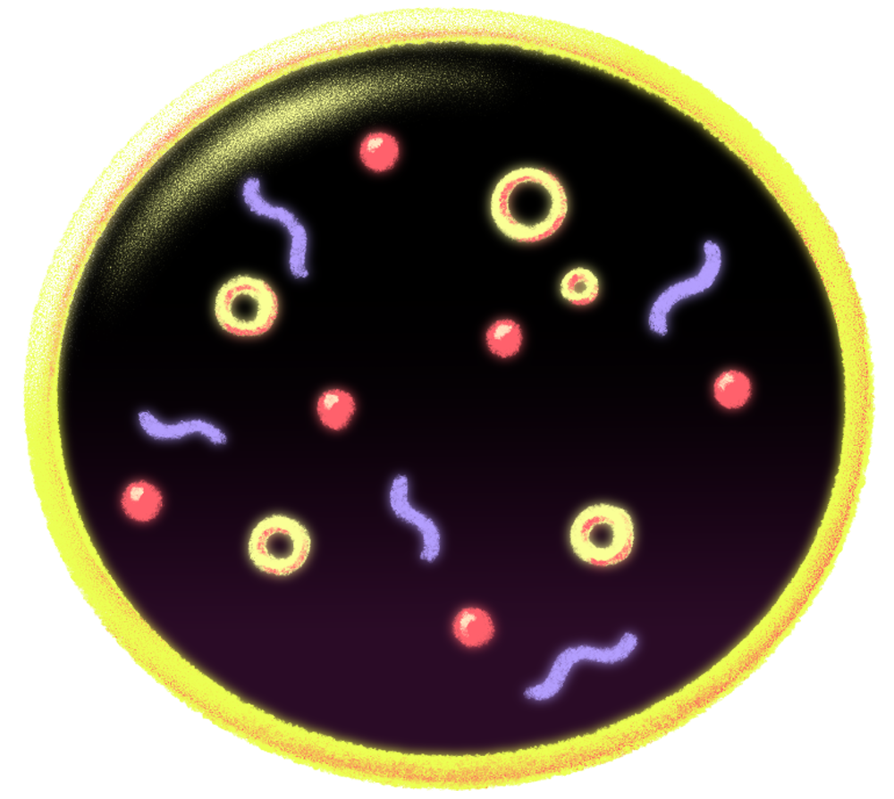 Inside the synthetic cell: a 「chemical soup」 of molecular components enclosed by a lipid membrane. Credit: Quanta Magazine
