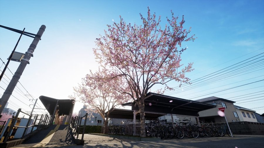 Running Train 樱花季场景：火车停在乡间小站，站台旁樱花漫天