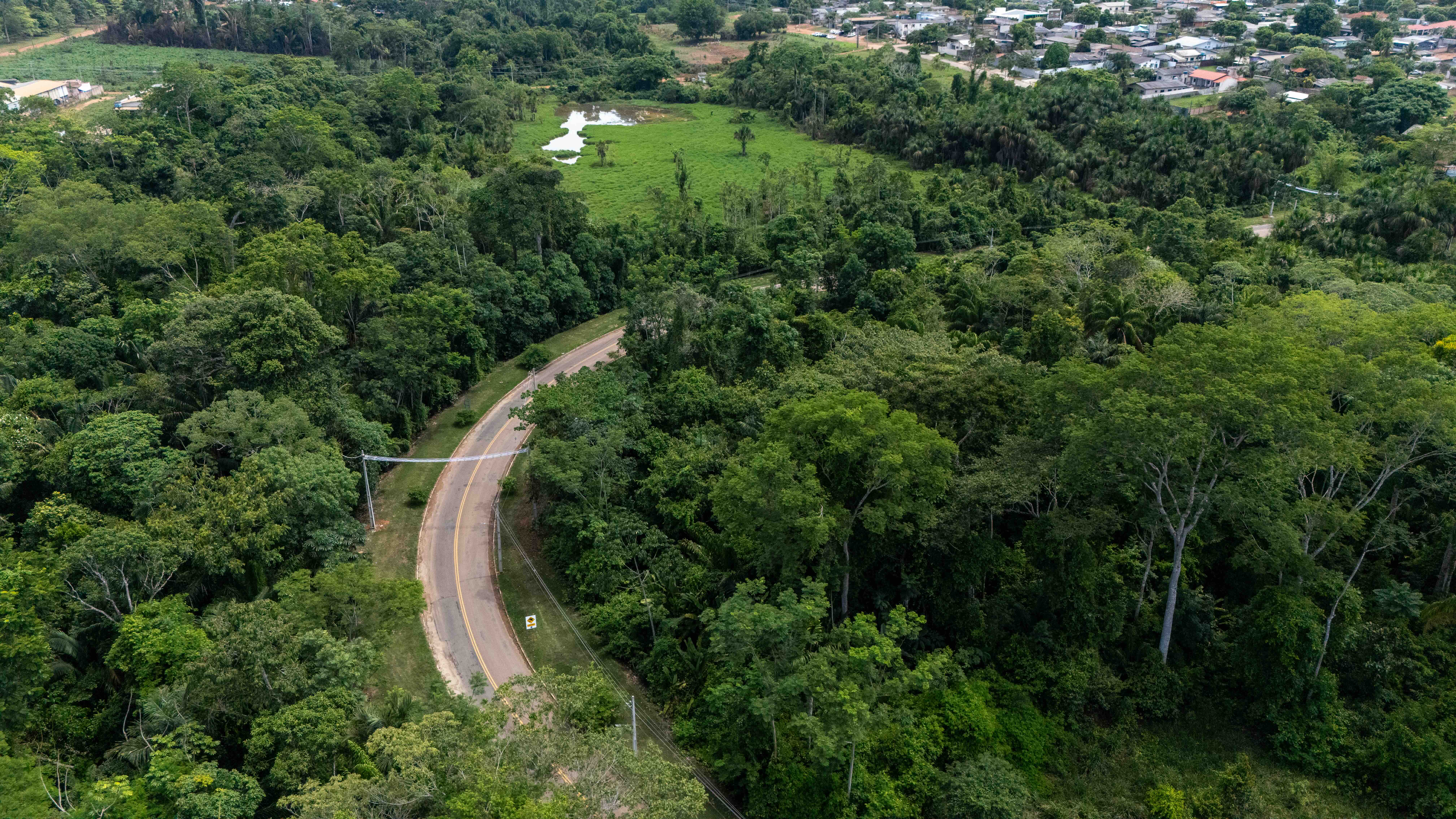 Vista aérea del puente de dosel