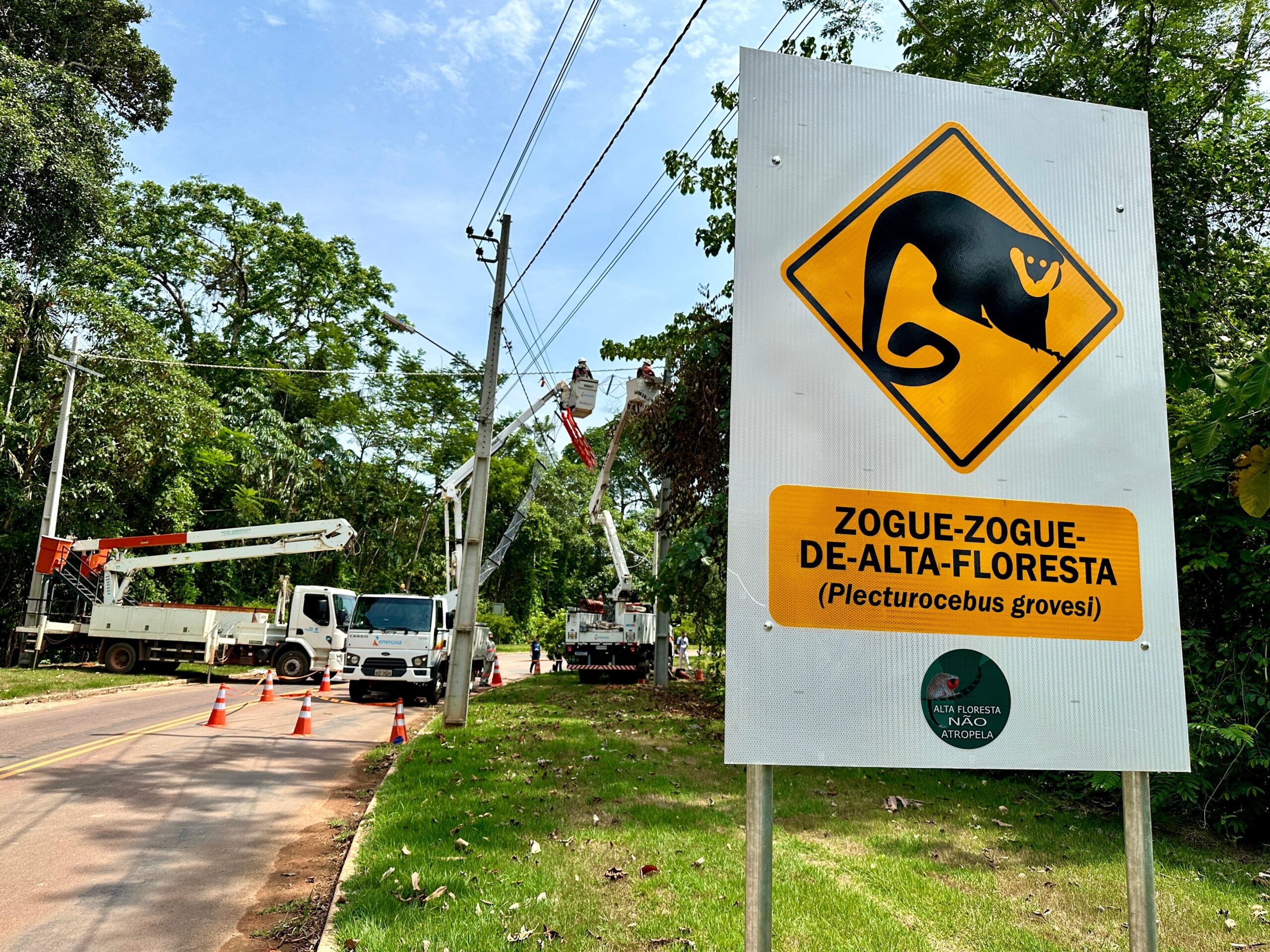 Instalación de puentes de dosel