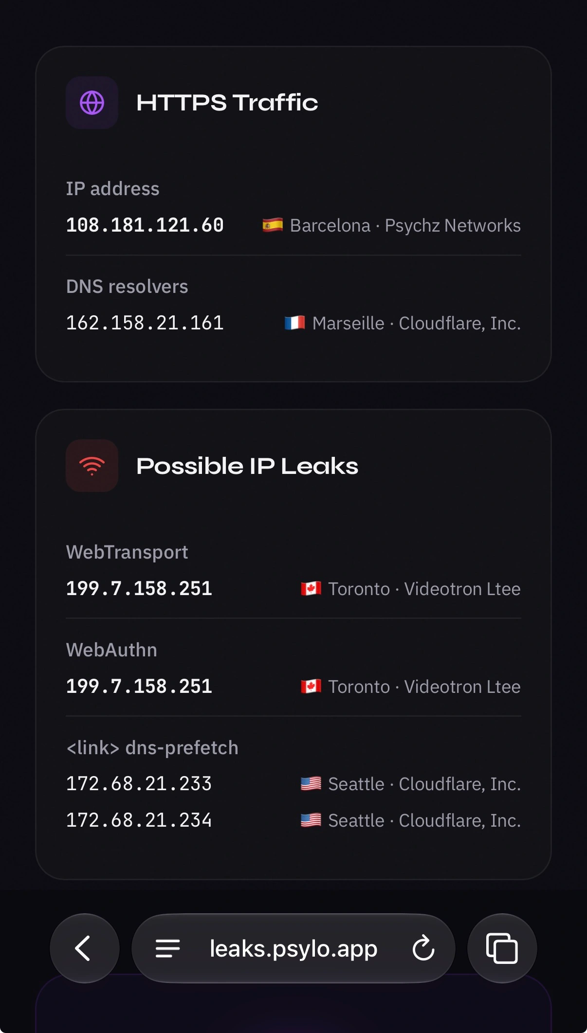 leaks.psylo.app 概念验证页面，展示检测到的泄漏