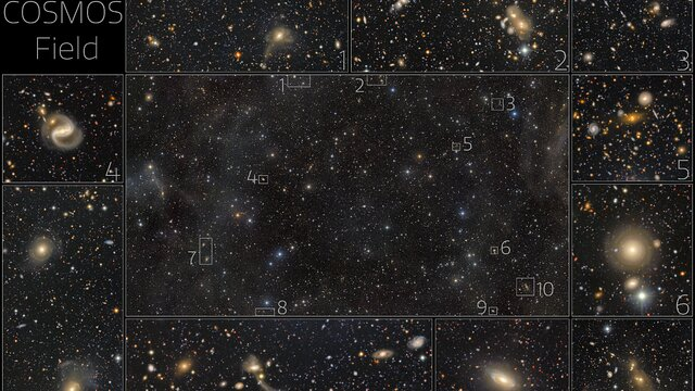 Close-up cutouts of selected galaxies from the deep field