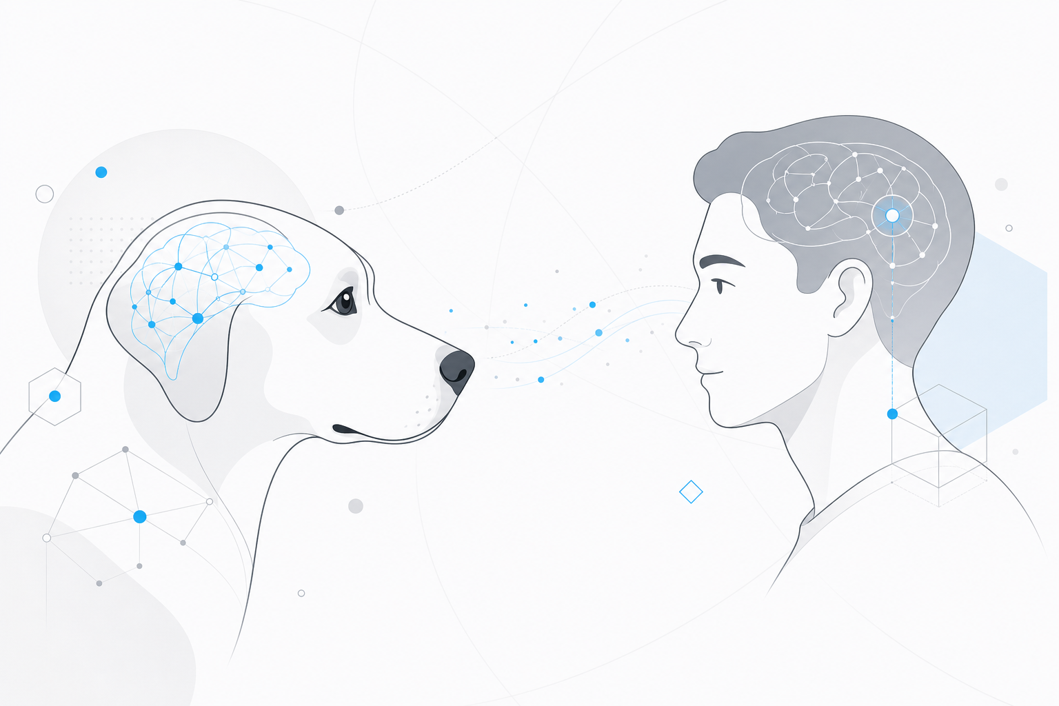Brain Scans Reveal Dogs Tell Sadness from Fear Just by Looking at Human Faces
