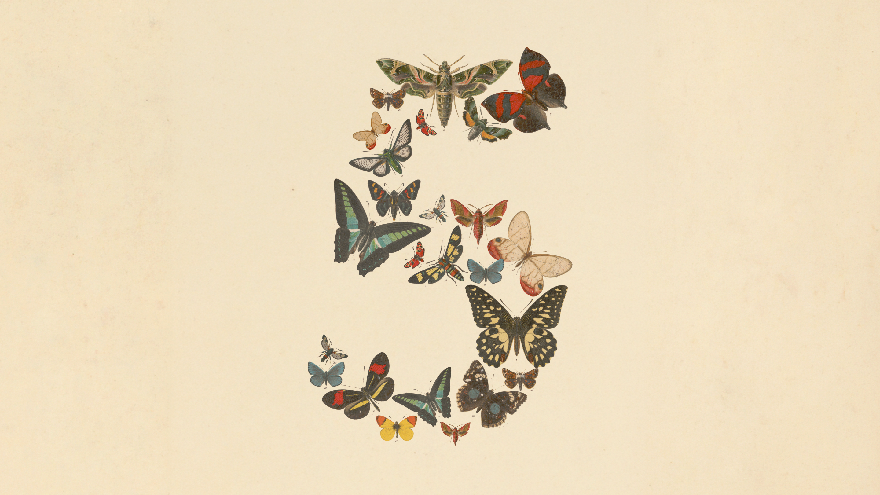 Anthropic Fable 5公告