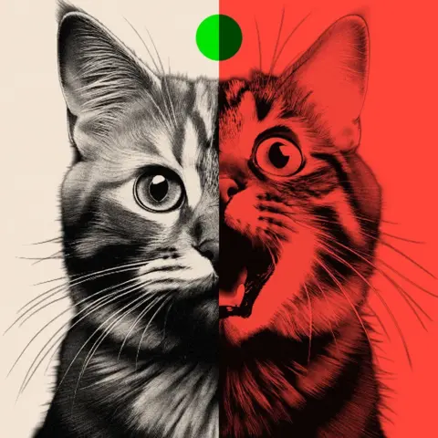 Vergleich derselben Katze auf einem echten Foto und einem KI-generierten Bild