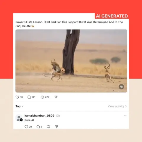Auf Facebook verbreitetes KI-generiertes Bild eines Leoparden