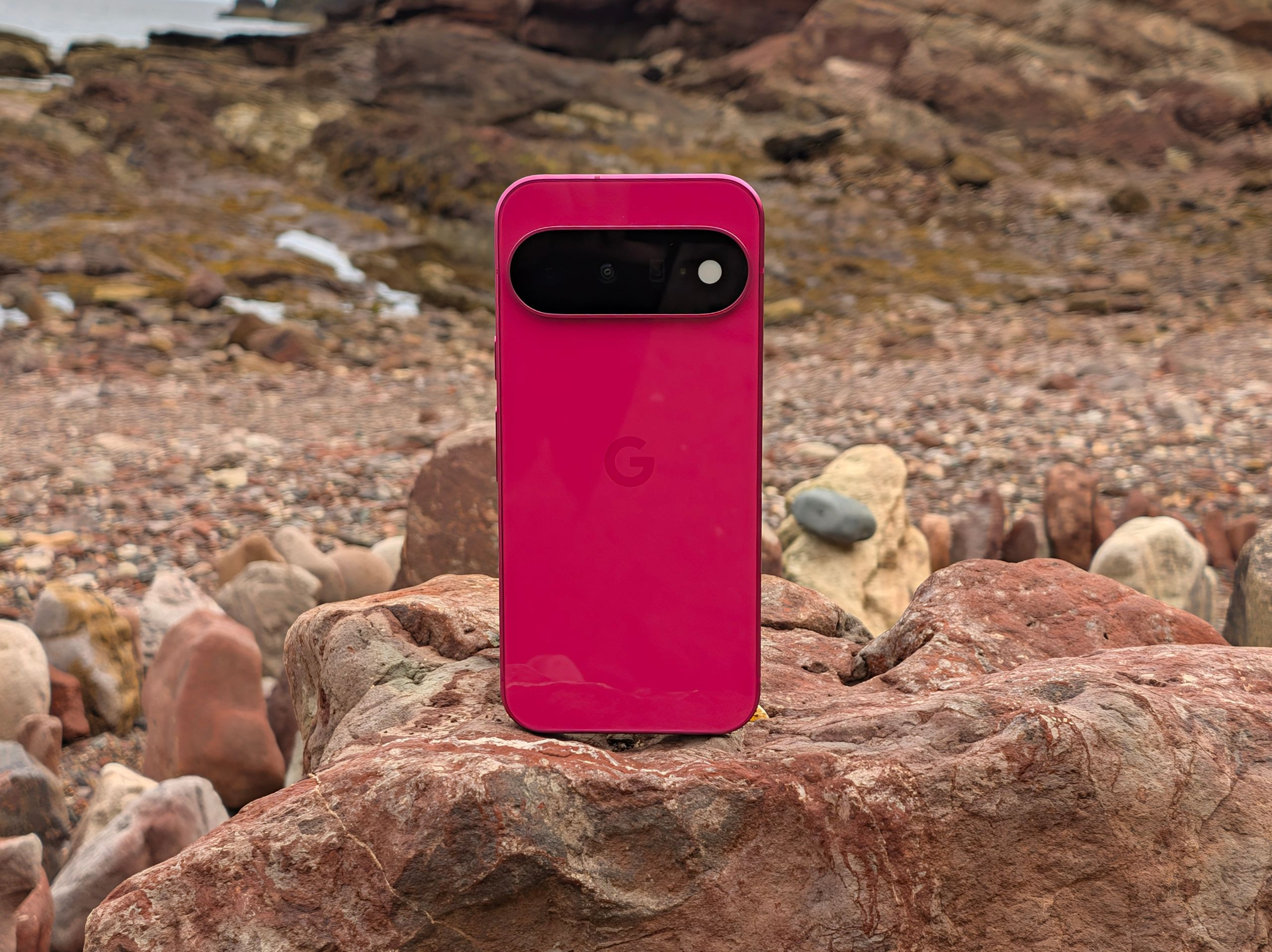 Pixel 11 实拍