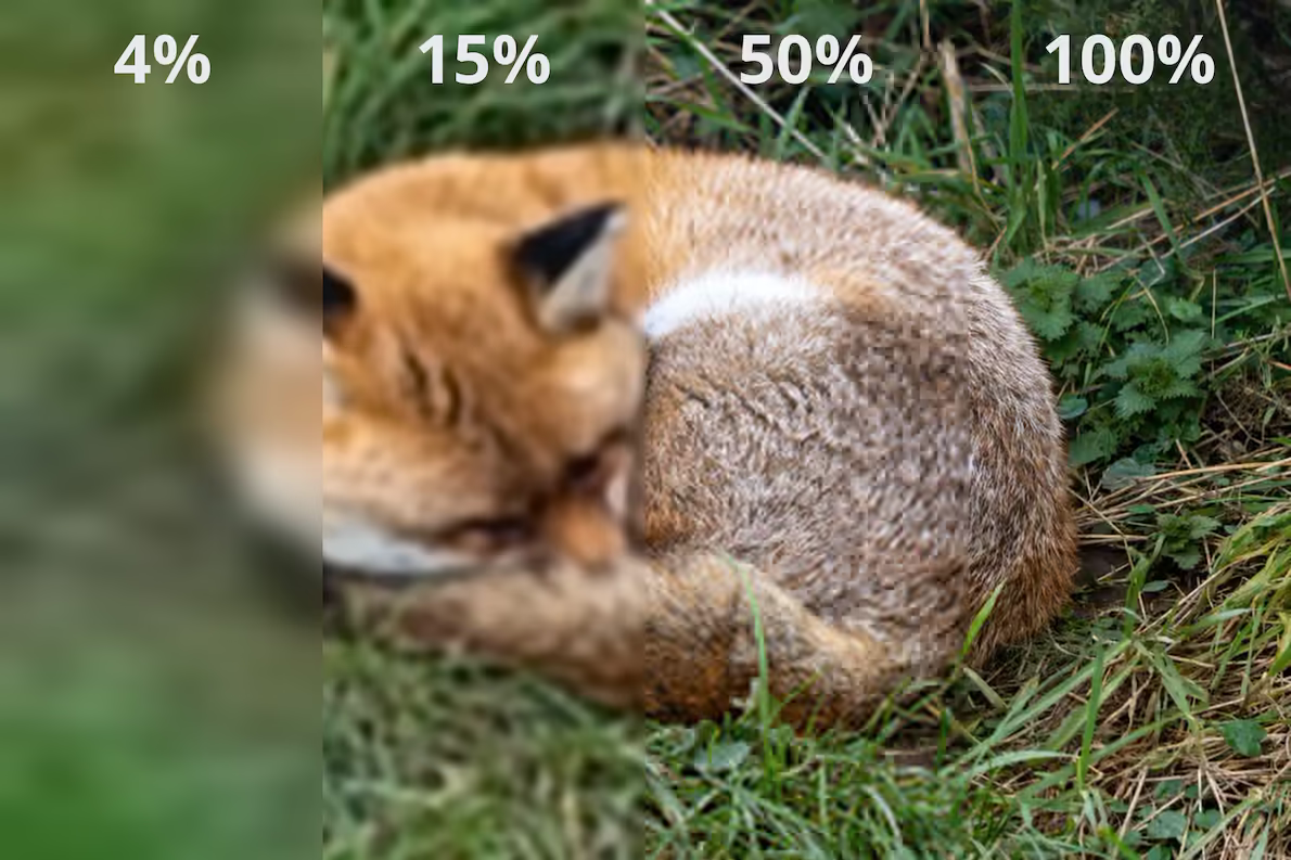 JPEG XL 渐进式渲染过程