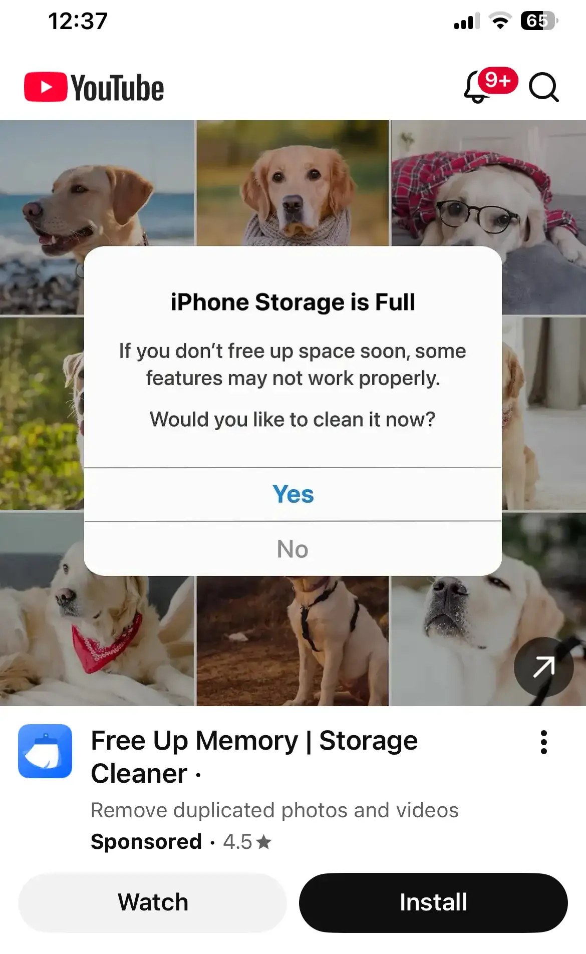 YouTube 广告截图