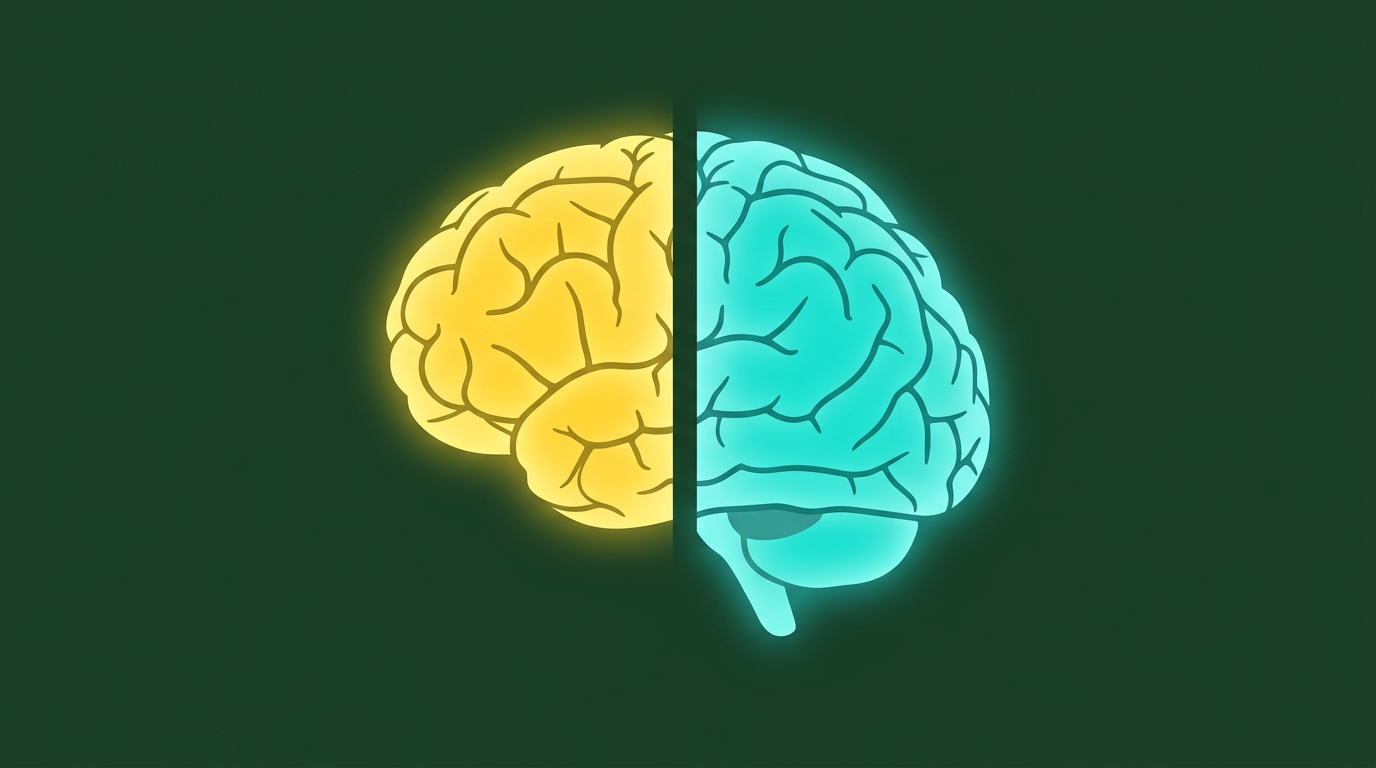 Your Brain Is Two Separate Organs: The 550-Million-Year-Old Seam Stanford Uncovered