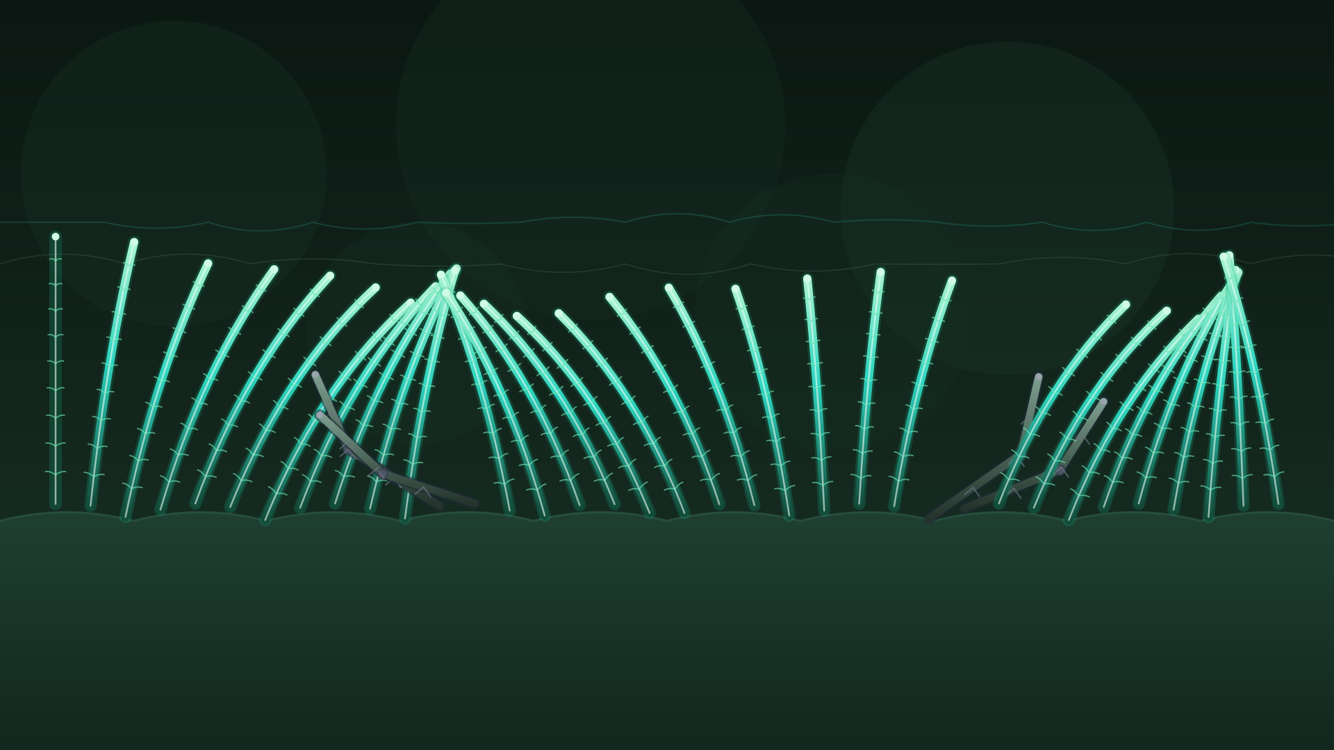 Beyond Static Stills: How a 10-Second Microscopy Video Diagnoses Respiratory Disease in Motion