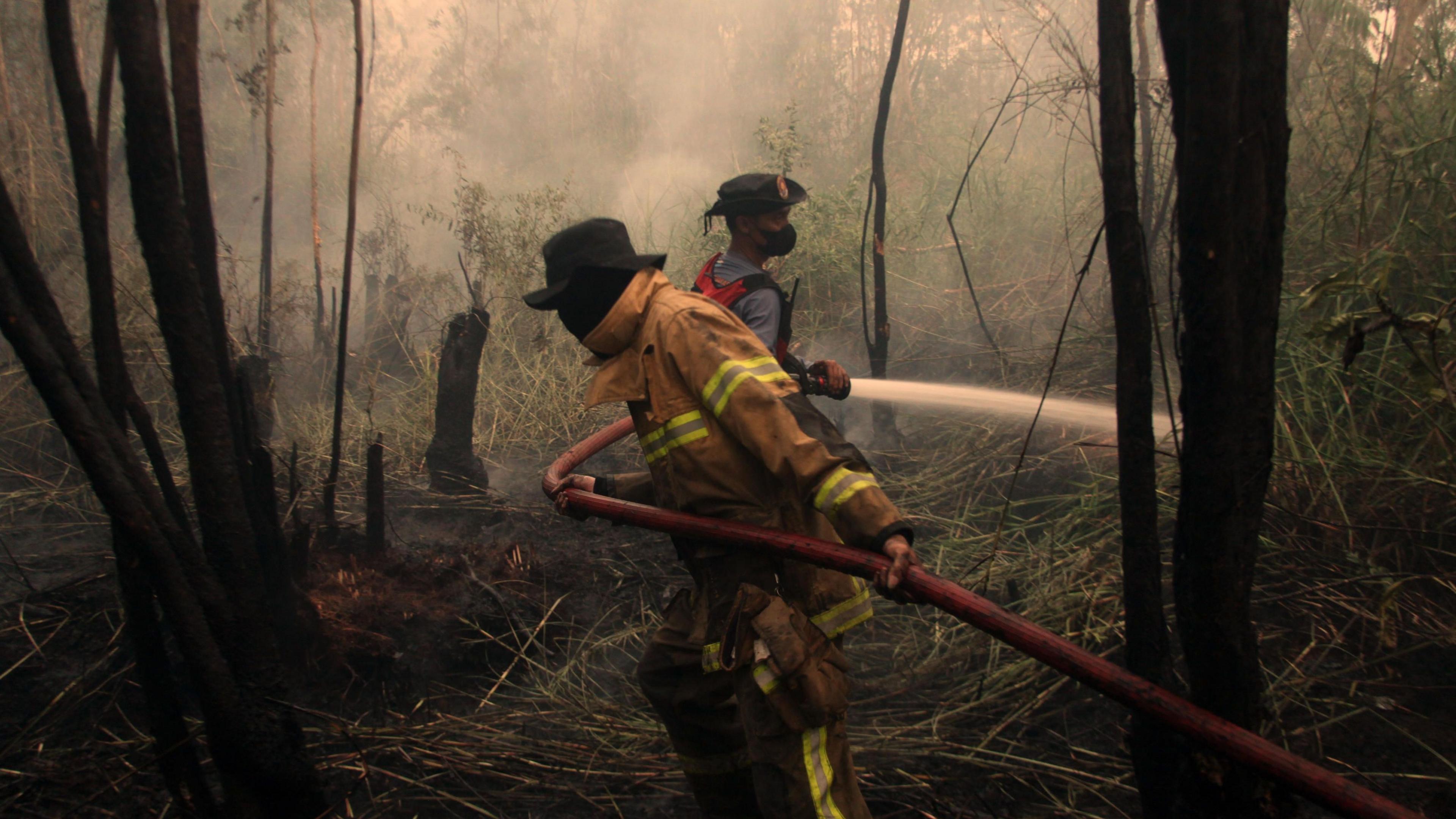 Indonesian firefighters extinguish wildfires