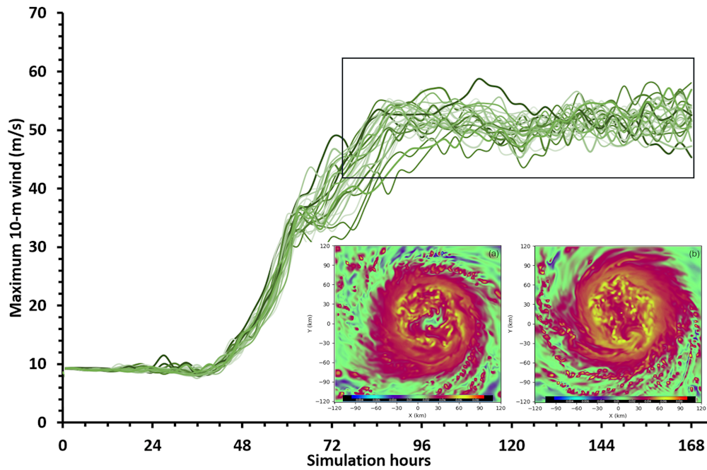 Model divergence in hurricane intensity grows over longer forecast lead times