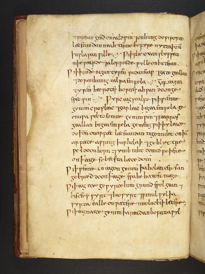 Page from Bald's Leechbook