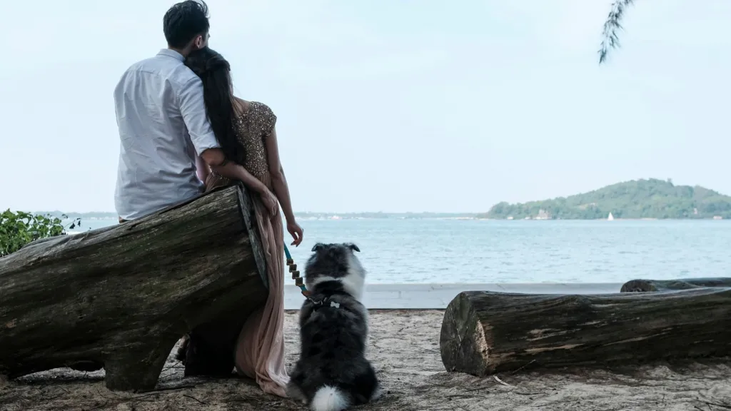 FirstDate promotional image