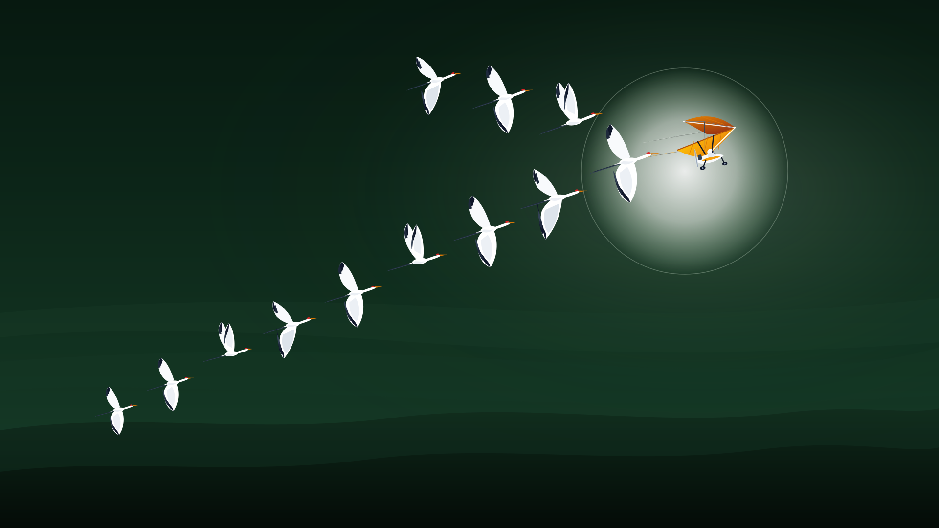 Operation Migration: Why Leading 186 Whooping Cranes by Ultralight Was ...