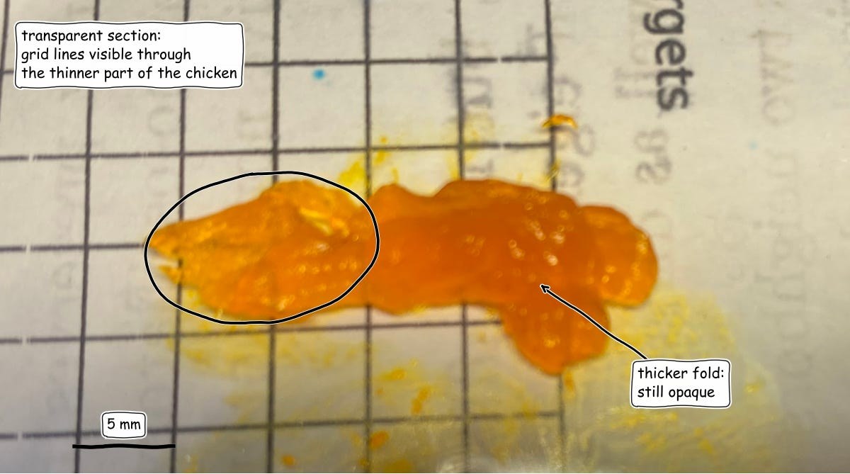 Chicken breast slice after 6 hours of soaking in 0.19M solution
