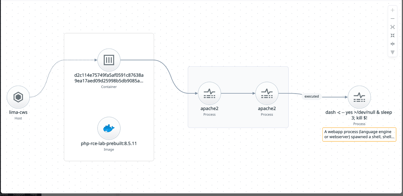 Attack graph observed by runtime protection