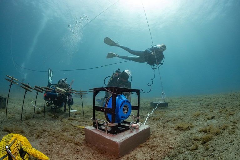 Divers testing underwater speakers