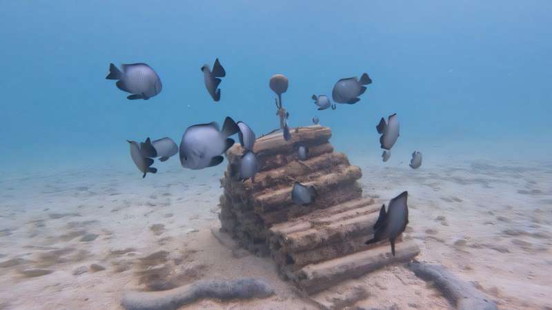 Hawaii experimental artificial structures