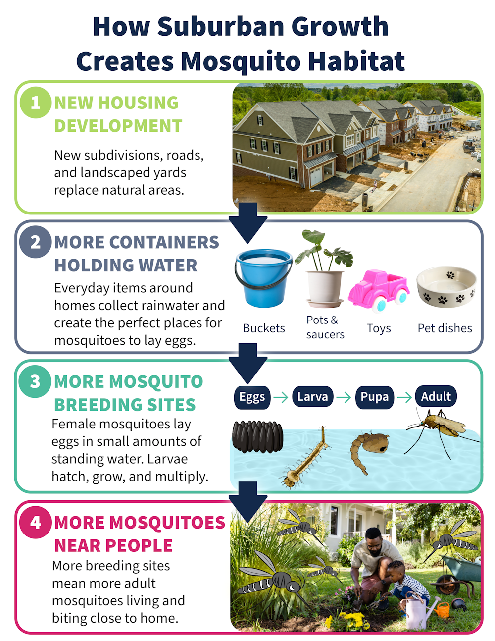 Suburban sprawl creates mosquito habitat